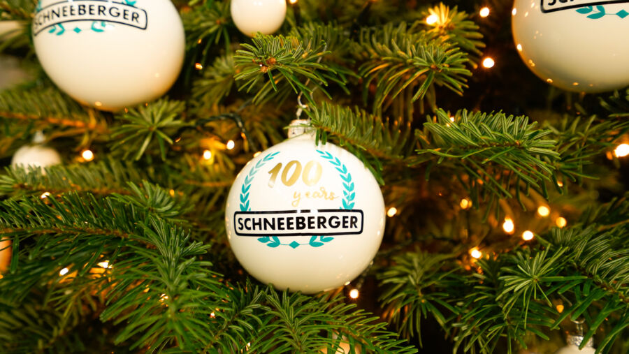... a Merry Christmas and a Happy New Year 2024