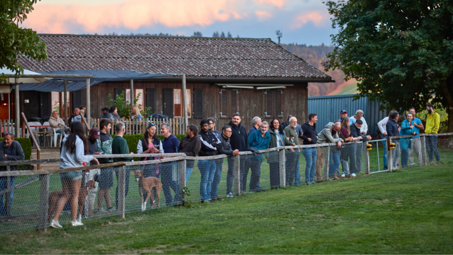 Eager spectators before the start of the greyhound race